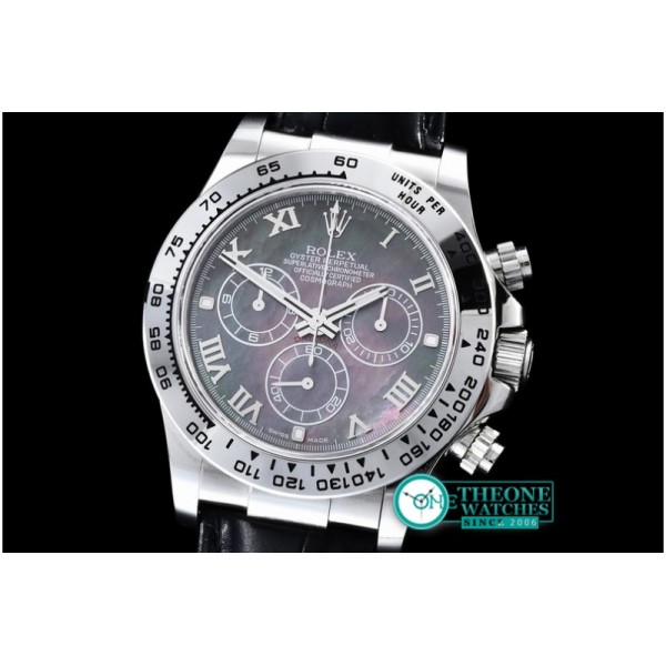 Rolex - Basel 2016 Daytona SS/LE Black MOP Rom BP Ult A-7750